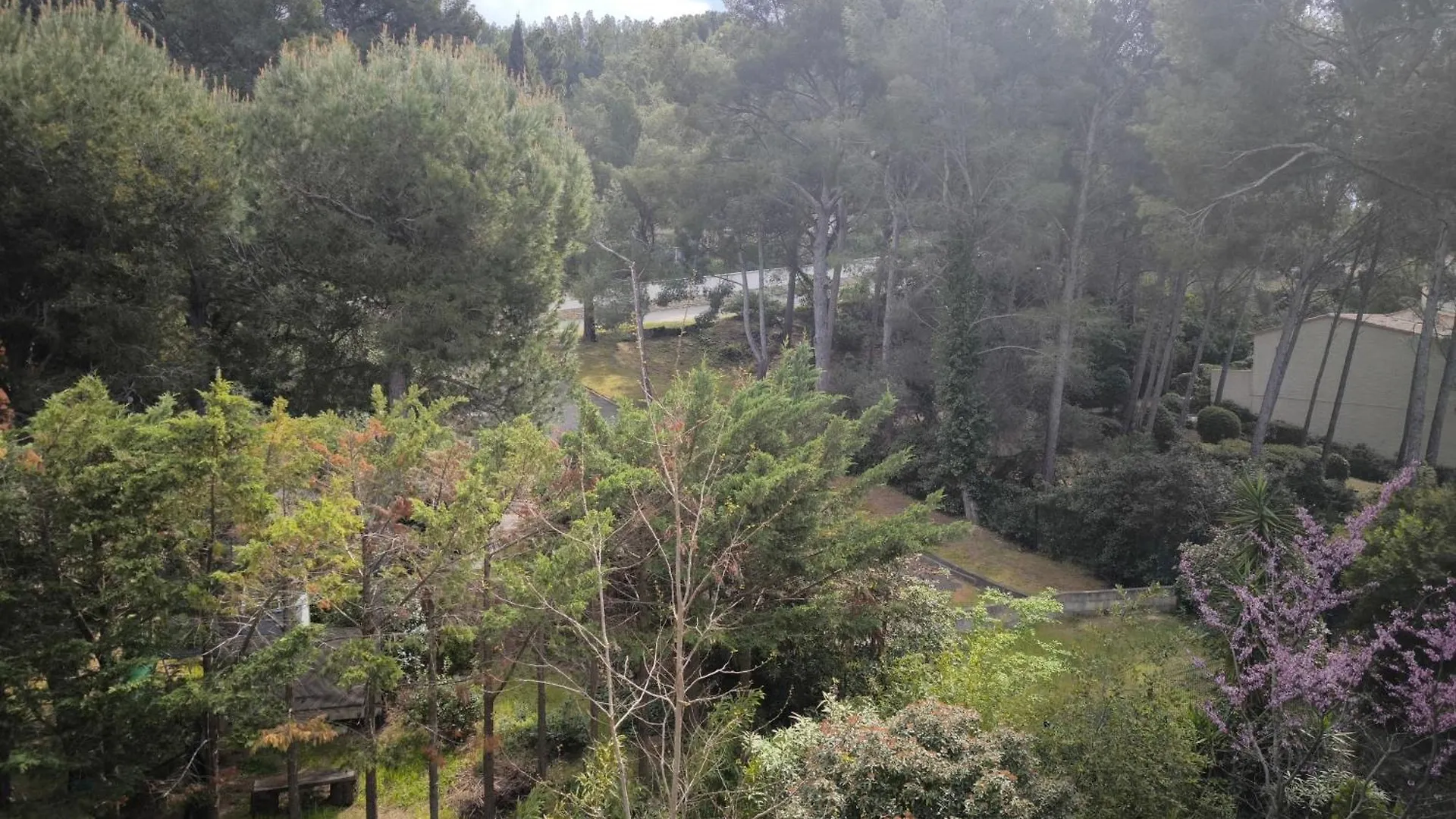 Appartement Studio Les Lecques France